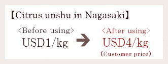 Citrus unshu in Nagasaki