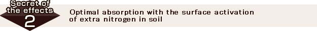 Optimal absorption with the surface activation of extra nitrogen in soil 