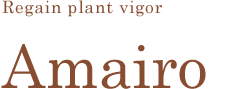 Regain plant vigor　Amairo